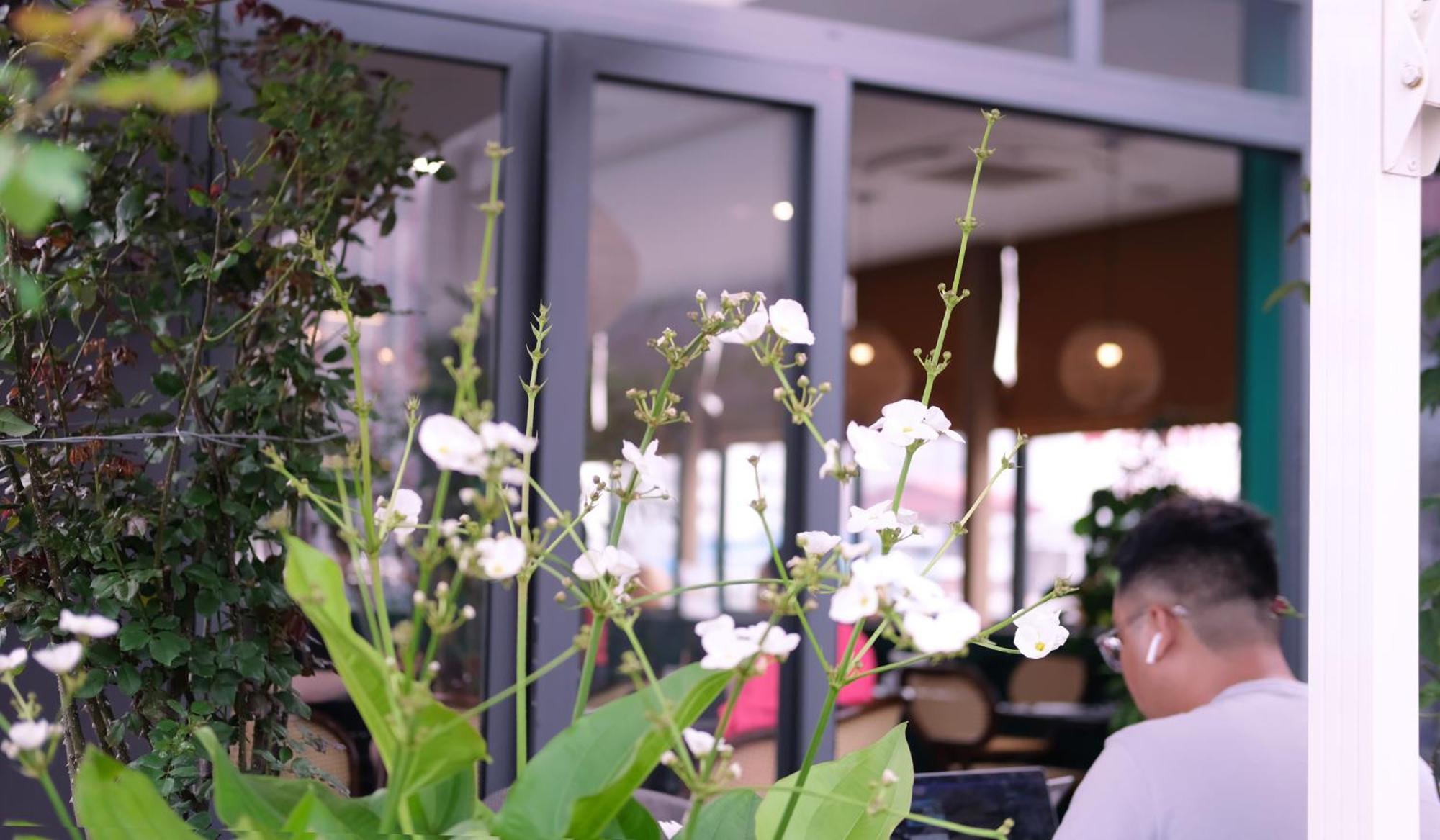 The Bloom Hanoi - Bespoke Living Extérieur photo