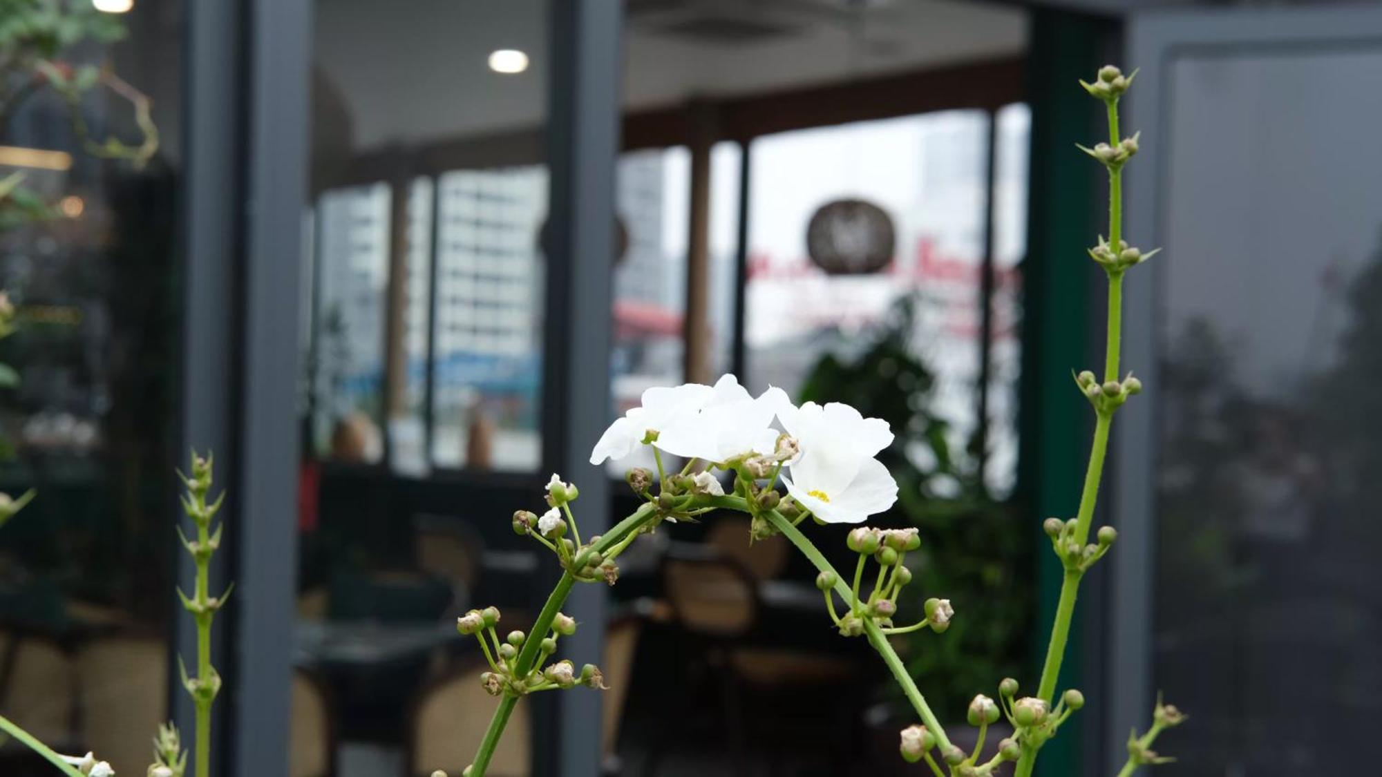 The Bloom Hanoi - Bespoke Living Extérieur photo